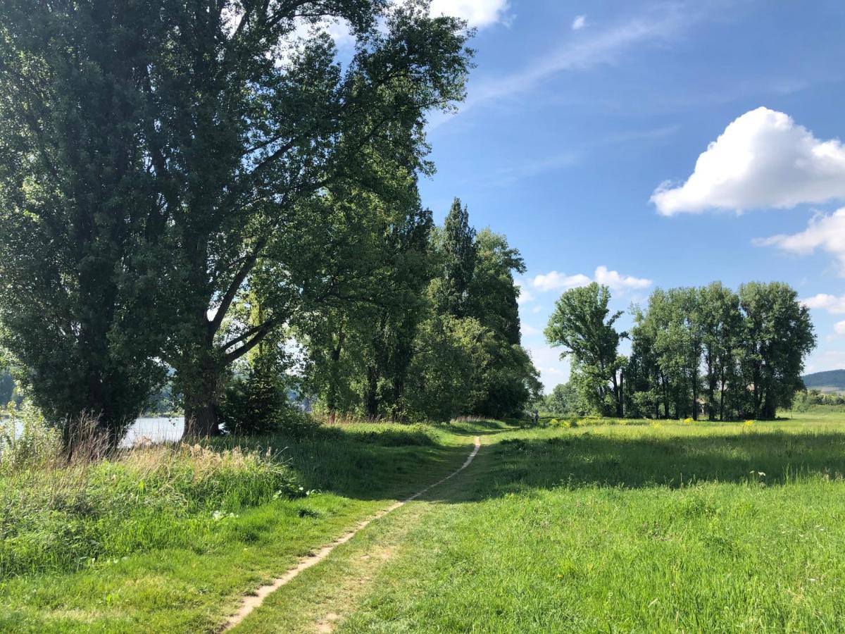 T&T Ferienwohnung Rheinbrohl Exteriör bild