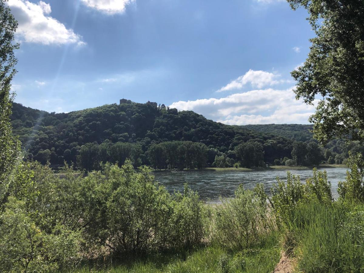 T&T Ferienwohnung Rheinbrohl Exteriör bild